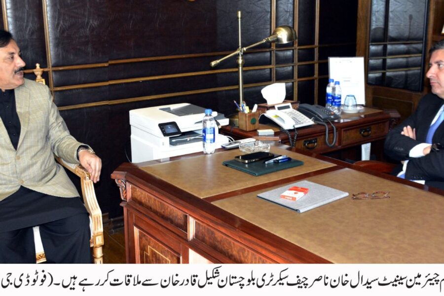 Acting Chairman Senate Syedal Khan Meets Chief Secretary Balochistan Shakeel Qadir Khan in Quetta