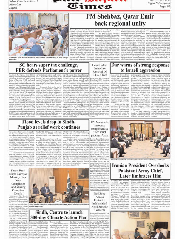 PM Shehbaz, Qatar Emir back regional unity