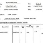 Huge Allegations of Under-Invoicing in Pakistan’s Mango Exports to Japan Prompt Call for Investigation